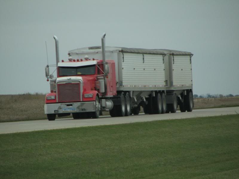 Online Dealers Online Dealers. If you don’t have any dealers near you or if you’d rather do your shopping without going out, there’s no need to worry. All of the dealers listed here are authorized online dealers for TigerTough products.